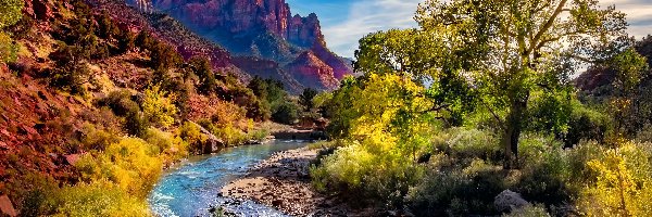Drzewa, Park Narodowy Zion, Góry Watchman, Stan Utah, Stany Zjednoczone, Kamienie, Rzeka Virgin River