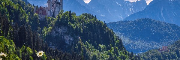 Drzewa, Zamek Neuschwanstein, Góry, Chmury, Bawaria, Niemcy