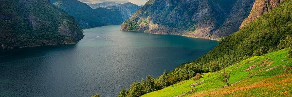 Góry, Wzgórze, Norwegia, Gmina Aurland, Drzewa, Fiord, Aurlandsfjord, Zielone