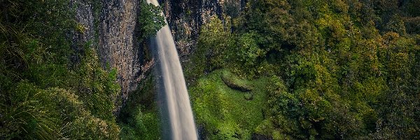 Pakoka River, Rzeka, Wodospad, Region Waikato, Nowa Zelandia, Drzewa, Las, Bridal Veil Falls, Skały