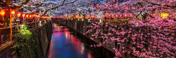 Drzewa owocowe, Kanał, Kwitnące, Latarnie, Tokio, Japonia