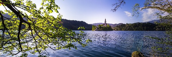 Gałęzie, Jezioro Bled, Kościół Wniebowzięcia Marii Panny, Wyspa Blejski Otok, Słowenia, Drzewa, Góry
