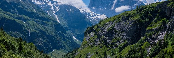 Dolina, Góry, Roślinność, Szczyt Titlis, Szwajcaria, Skały, Drzewa, Kanton Obwalden, Lasy, Alpy Berneńskie, Engelberg