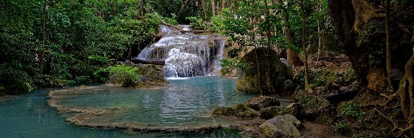 Tajlandia, Drzewa, Las, Wodospad Erawan, Kaskada, Prowincja Kanchanaburi, Park Narodowy Erawan