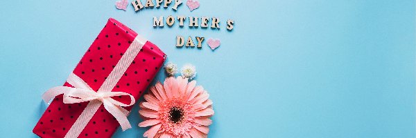 Tło, Gerbera, Napis, Prezent, Dzień Matki, Niebieskie, Happy Mothers Day