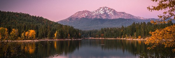 Drzewa, Lake Siskiyou, Stany Zjednoczone, Lasy, Stratowulkan, Mount Shasta, Odbicie, Jezioro, Góry, Kalifornia