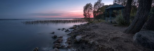 Obwód jarosławski, Drzewa, Peresław Zaleski, Rosja, Altana, Jezioro Pleshcheyevo