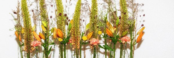 Kwiaty, Rośliny, Lilie, Kompozycja, Ozdobne