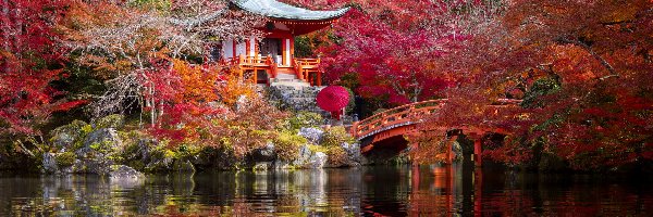 Ogród, Kompleks, Benten-do, Staw, Jesień, Kioto, Daigo-ji, Drzewa, Most, Japonia, Park, Świątynia