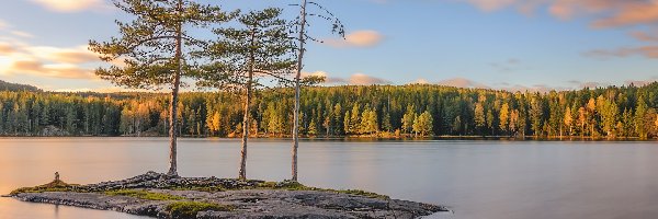 Drzewa, Wysepka, Norwegia, Okręg Akershus, Trzy, Chmury, Gmina Berum, Jezioro