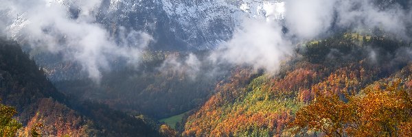 Chmury, Drzewa, Mgła, Jesień, Las, Góry