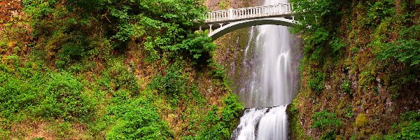Roślinność, Drzewa, Most, Multnomah Falls, Wodospad, Stany Zjednoczone, Oregon, Skały, Hrabstwo Multnomah