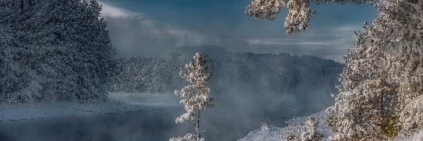 Drzewa, Zima, Śnieg, Mgła, Rzeka