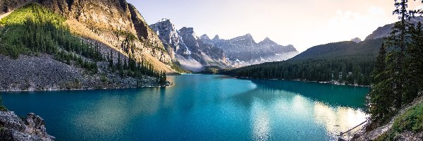 Lasy, Drzewa, Moraine Lake, Jezioro, Park Narodowy Banff, Kanada, Alberta, Góry Skaliste, Wschód słońca