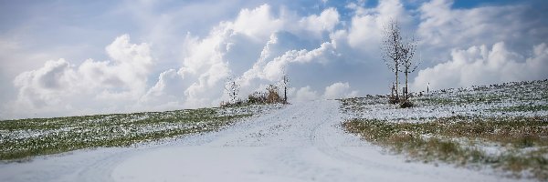 Zima, Droga, Śnieg, Chmury, Drzewa