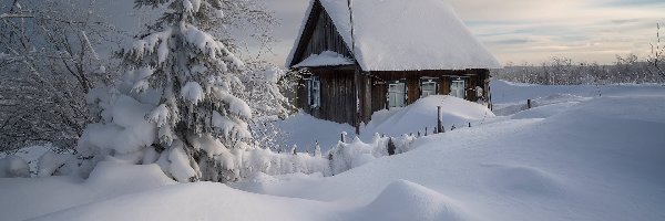 Dom, Zaspy, Drzewa, Zima