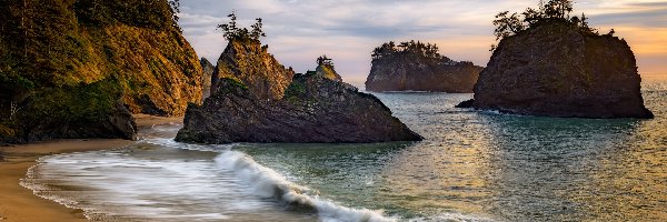 Wybrzeże, Skały, Stany Zjednoczone, Oregon, Drzewa, Park stanowy, Samuel H Boardman State Scenic Corridor, Morze