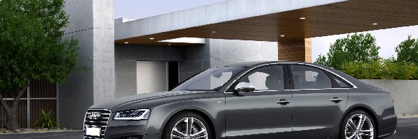 Audi S8, Grafitowe