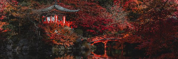 Świątynia, Bentendo Temple, Drzewa, Kioto, Mostek, Japonia, Kompleks Daigo-ji, Odbicie, Jesień