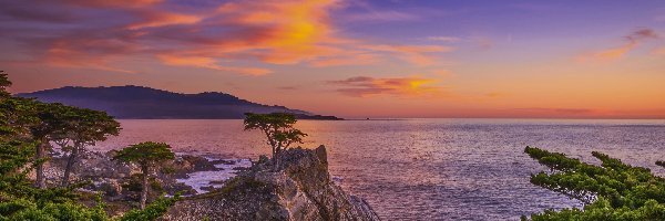 Drzewa, Zachód słońca, Pebble Beach, Stany Zjednoczone, Zatoka Monterey, Cyprysy, Lone Cypress, Skały, Atrakcja, Kalifornia, Morze