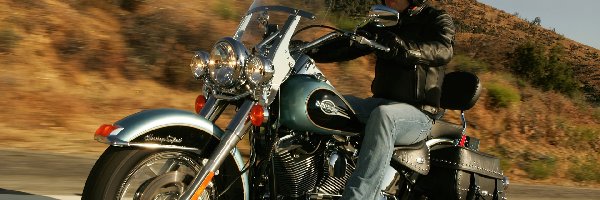 Harley-Davidson Softail Heritage, Cruiser