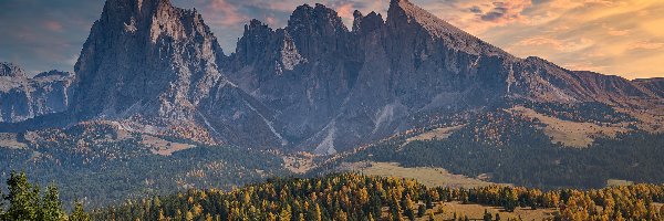 Płaskowyż Seiser Alm, Drzewa, Jesień, Włochy, Dolina Val Gardena, Góry Sassolungo