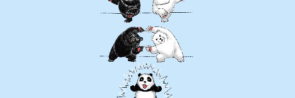 Brunatny, Niedźwiedzie, Polarny, Rysunek, Panda