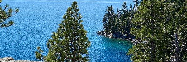 Sosny, Sierra Nevada, Skały, Stany Zjednoczone, Góry, Jezioro Tahoe