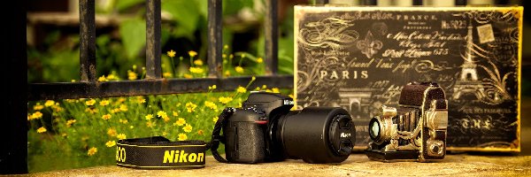 Aparat fotograficzny, Ogrodzenie, Nikon, Kompozycja, Kwiaty