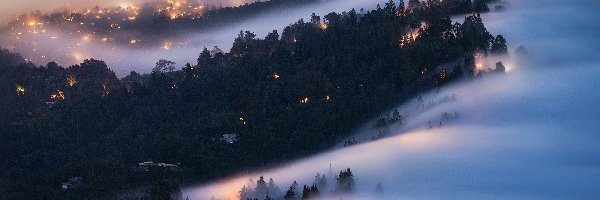 Las, Mgła, Światła