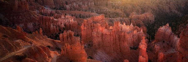 Kanion, Utah, Stany Zjednoczone, Park Narodowy Bryce Canyon, Wschód słońca, Skały