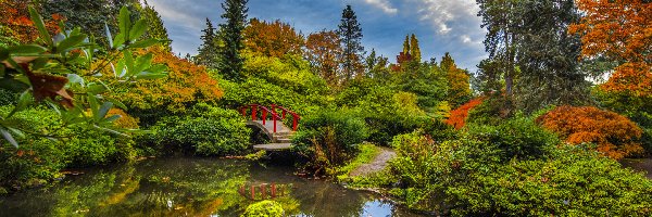 Kubota Garden, Krzewy, Mostek, Czerwony, Ogród, Stany Zjednoczone, Stan Waszyngton, Staw, Seattle