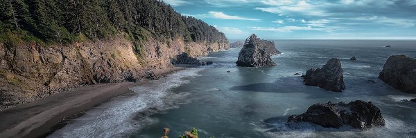 Morze, Park stanowy, Klif, Samuel H Boardman State Scenic Corridor, Skały, Drzewa, Stany Zjednoczone, Oregon