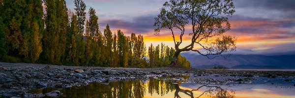 Nowa Zelandia, Góry, Jesień, Drzewo, Jezioro Wanaka, Odbicie, Chmury