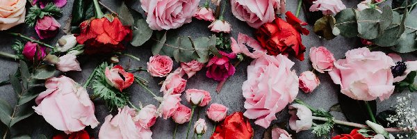 Kolorowe, Liście, Róże, Kwiaty