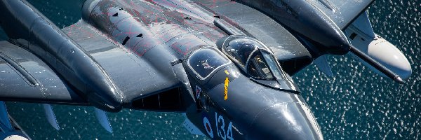 De Havilland Sea Vixen FAW2, Myśliwiec, Samolot