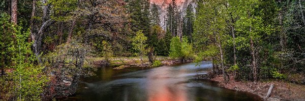 Drzewa, Merced River, Szczyt Half Dome, Góry, Park Narodowy Yosemite, Stany Zjednoczone, Kalifornia, Rzeka, Las