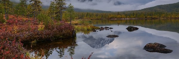 Jezioro Nevidimka, Trawa, Góry Kołymskie, Kołyma, Jesień, Drzewa, Rosja, Obwód magadański