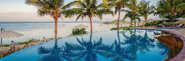 Tanzania, Hotel, Sea Cliff Resort Spa, Basen, Palmy, Wyspa Zanzibar, Mangapwani