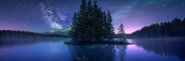 Jezioro, Drzewa, Two Jack Lake, Gwiazdy, Kanada, Zorza polarna, Niebo, Alberta, Noc, Las, Park Narodowy Banff