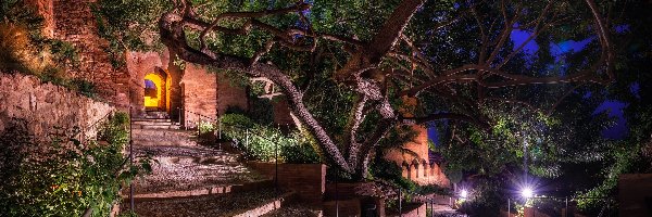 Jardin de Al-Andalus, Andaluzja, Noc, Drzewa, Almeria, Baszta, Alcazaba, Hiszpania