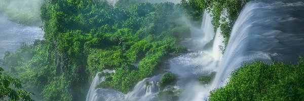 Argentyna, Krzewy, Wodospad Iguazu