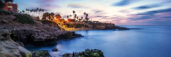 Zatoka, Morze, La Jolla Cove, Zachód słońca, Stany Zjednoczone, Palmy, Foki, Kalifornia, Skały, Niebo, San Diego
