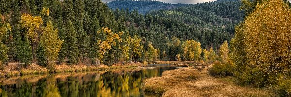 Góry, Las, Coeur dAlene River, Rzeka, Jesień, Stany Zjednoczone, Idaho, Drzewa, Hrabstwo Kootenai