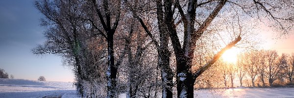 Ogrodzenie, Staw, Droga, Śnieg, Drzewa, Zima