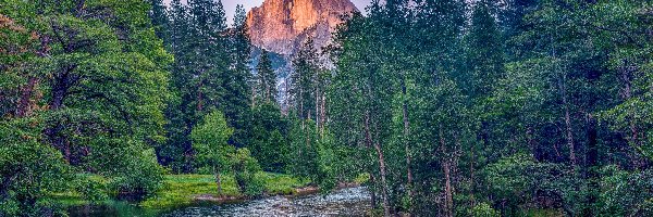 Sierra Nevada, Kalifornia, Drzewa, Góry, Skały, Rzeka, Merced River, Stany Zjednoczone, Park Narodowy Yosemite, Half Dome