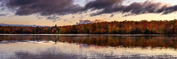 Chmury, Drzewa, Jezioro, Odbicie, Kolorowe, Jesień