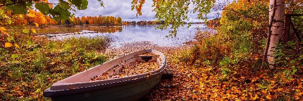 Jezioro, Drzewa, Łódka, Jesień, Liście