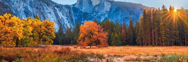Promienie słońca, Góry, Stany Zjednoczone, Jesień, Half Dome, Drzewa, Las, Park Narodowy Yosemite, Góra, Kalifornia