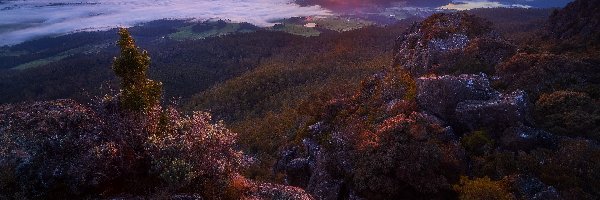 Mother Cummings Peak, Zachód słońca, Dolina, Drzewa, Australia, Opadająca, Góra, Tasmania, Mgła, Skały, Meander Valley